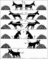 donkey-conflict-resolution