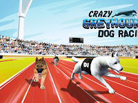 Crazy Dog Racing Apk v2.2.9 Mod