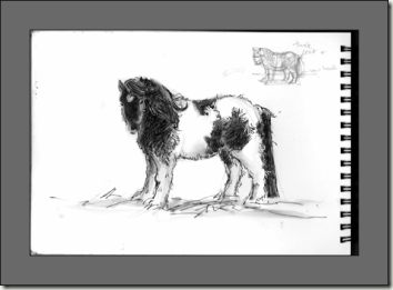 s-pony-bg