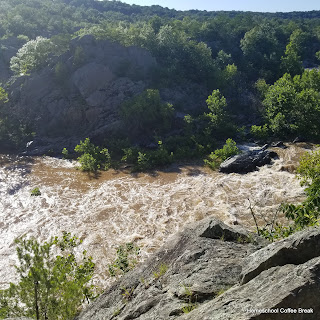 A Great Falls C&O Canal PhotoJournal on Homeschool Coffee Break @ kympossibleblog.blogspot.com