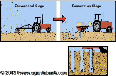 conservation_tillage