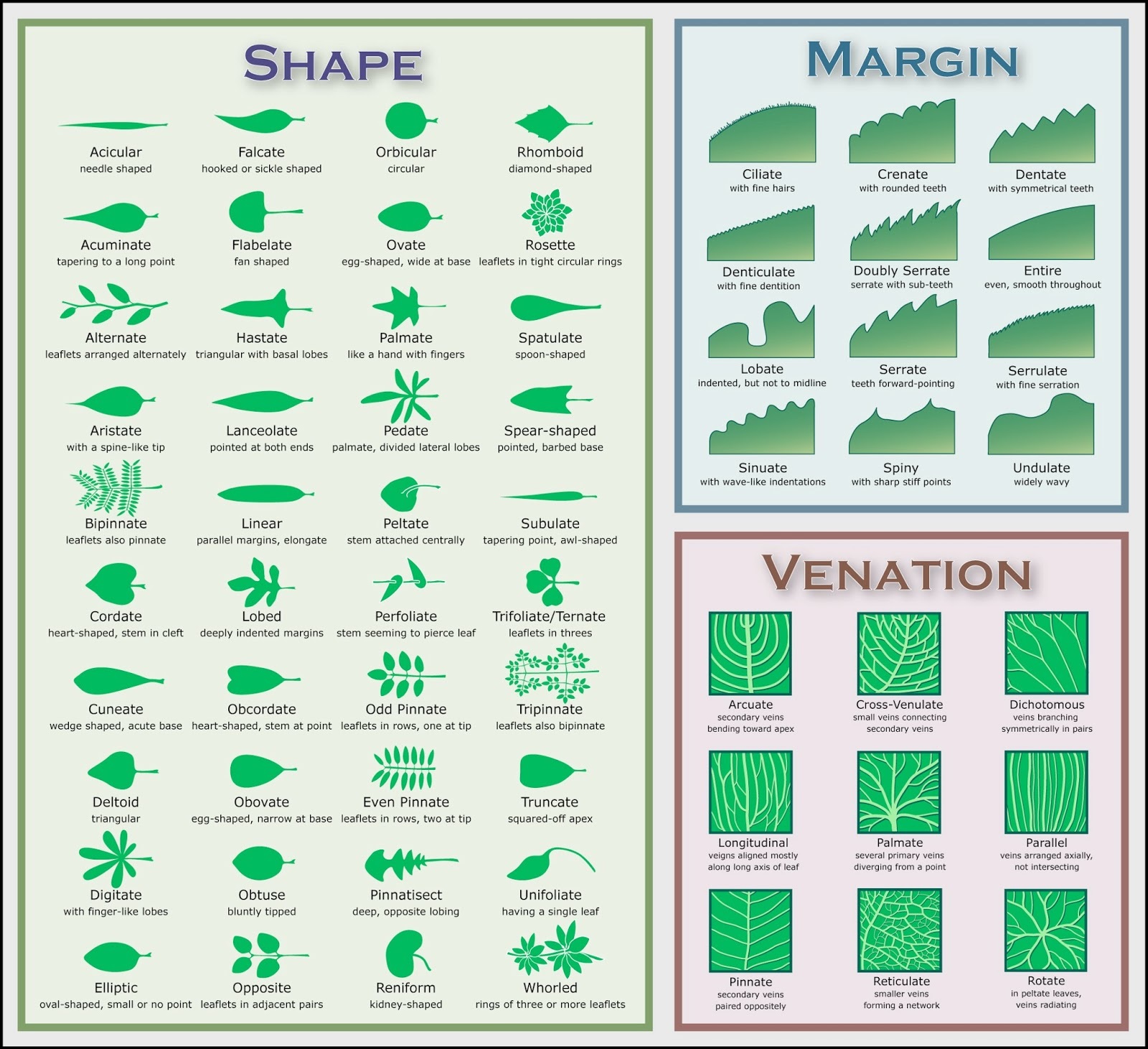 BIOLOGI GONZAGA July 2015