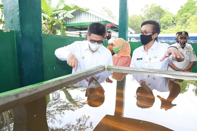 Gubernur Irianto Minta Petani Kayu Putih Disejahterakan