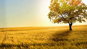 Desktop Backgrounds Images