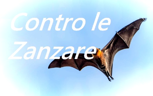pipistrello in volo utilizzato contro le zanzare