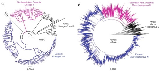 Nature Genetics doi: 10.1038/ng.2744