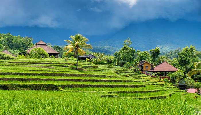 7 TEMPAT WISATA TERBAIK DI GIANYAR PULAU BALI Reygian 