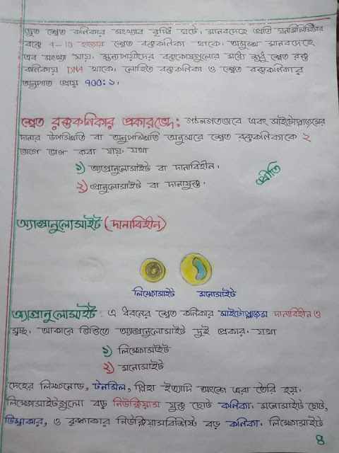 ৯ম ও ১০ম শ্রেণির জীব বিজ্ঞানের ৬ অধ্যায়ের হ্যান্ড নোট