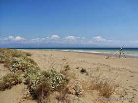 La spiaggia di Brakini a Erikoussa, isole Diapontie