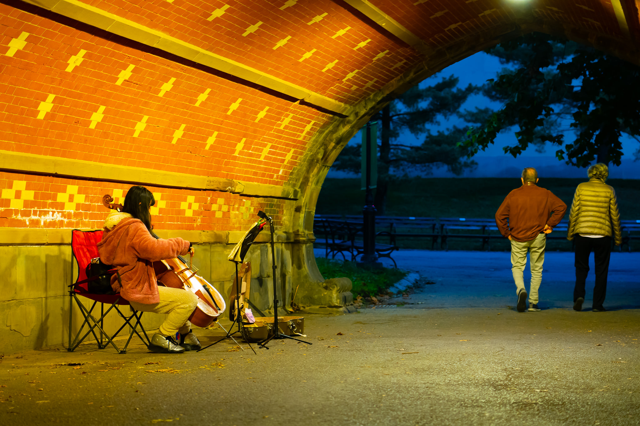 a photo of a cellist playing music in a tunnel in central park new york city