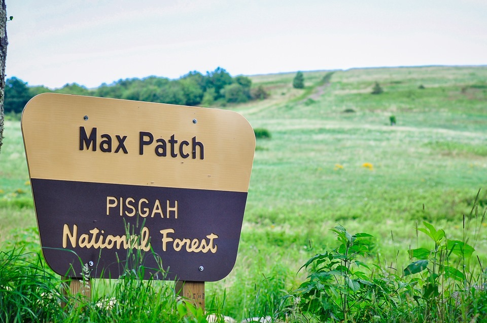 Max Patch-7086