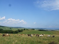 POSIBILE  ININERARII  AGNIŢENE…