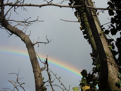 Rainbow In March