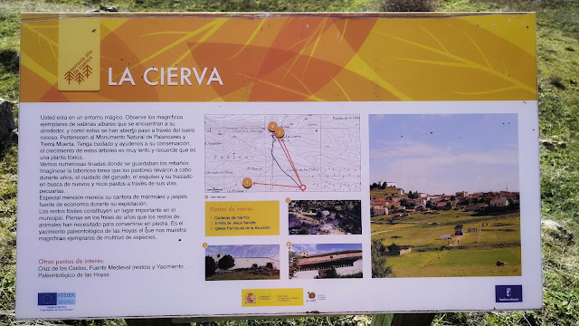 La Cierva