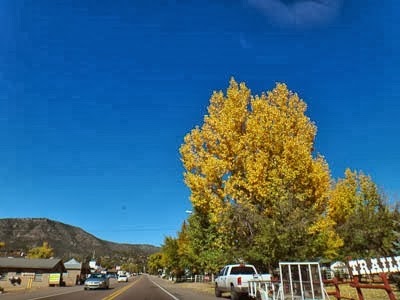 040dev03-DSC08725