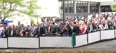 black caviar _fans
