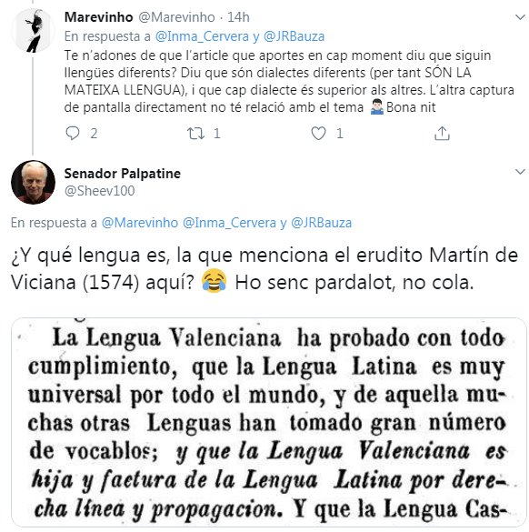 Martín de Viciana, Lengua Valenciana