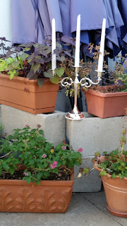 candelabra with plants