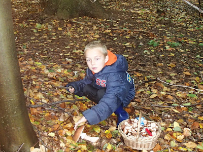 grzyby 2017, grzyby w październiku, podgrzybek brunatny, borowik szlachetny, opieńka ciemna, muchomor czerwieniejący, pieprznik trąbkowy, czubajka czerwieniejąca, lejkowiec dęty, czernidłak gromadny, muchomor czerwony, borowik szlachetny, boczniak ostrygowaty 