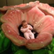 View album