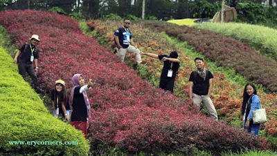 Serang Flower Garden