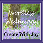 http://www.create-with-joy.com/2014/05/wordless-wednesday-seeing-double.html