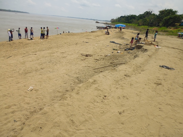 #Tabatinga-AM - Com a vazante do Rio Solimões surge uma prainha no Umariaçu