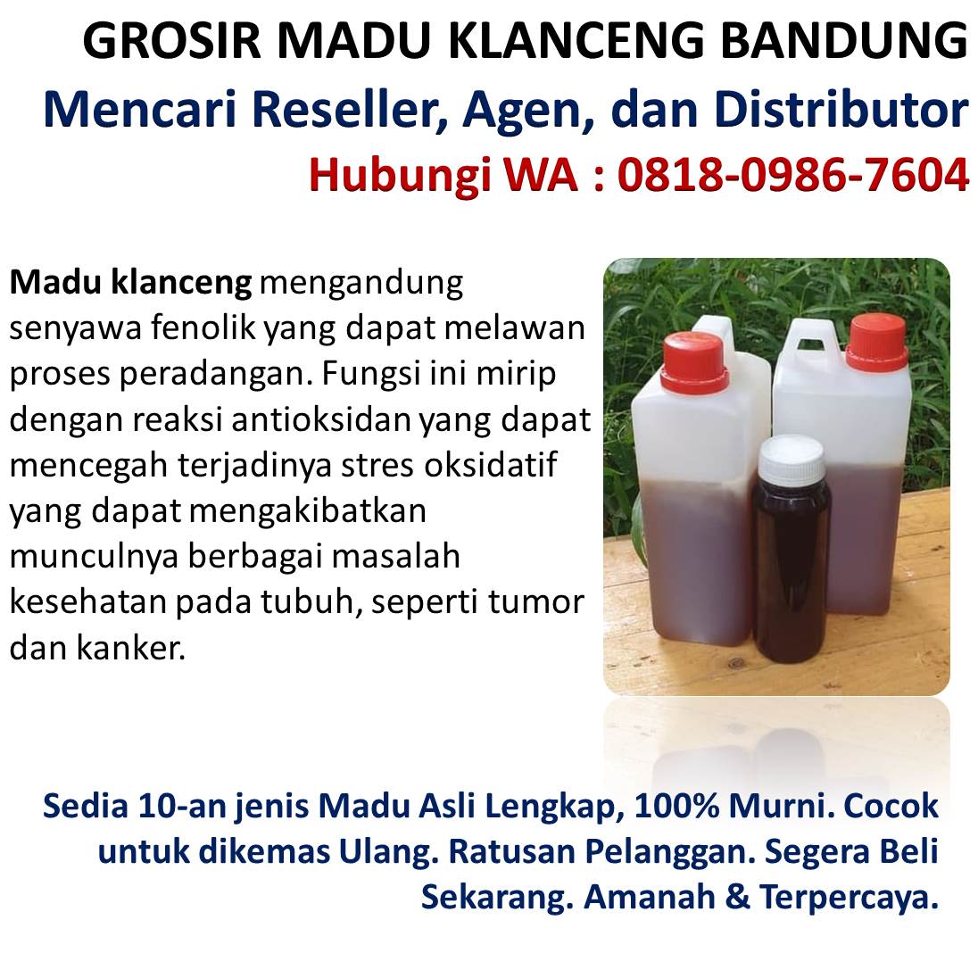 harga madu klanceng