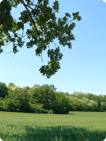 P1400573