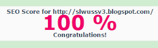 skoe seo sl wussv3 100%