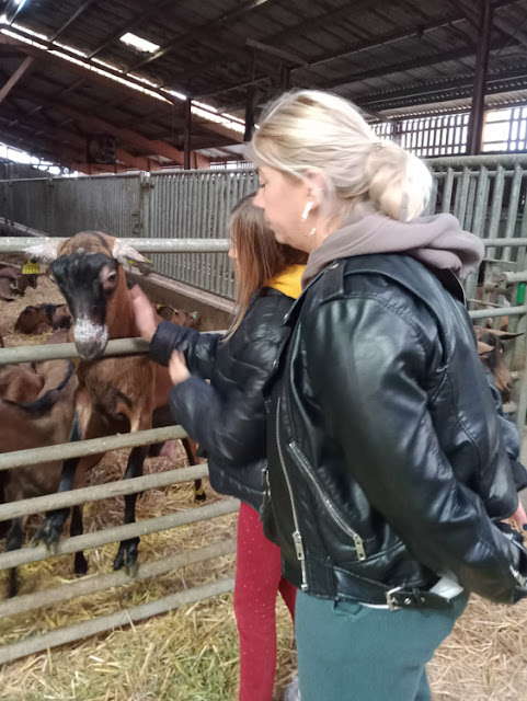 Ukrainian refugees visiting a farm, Indre et Loire, France. Photo O. Kirpa.