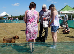 Picture: Former Brigg & Goole MP, Ian Cawsey, judging the dog show at Jerry Green's sanctuary on a very hot Sunday in July 2018 - see Nigel Fisher's Brigg Blog