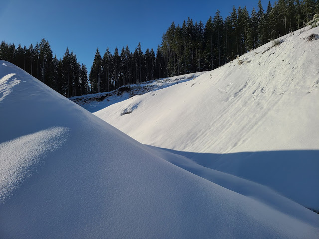 snow timber oregon