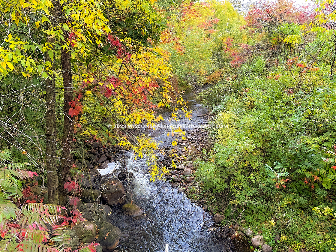 Creek through dense autumn colored leaves