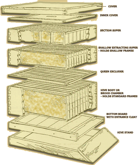 Pin Langstroth Hive Plans on Pinterest