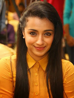 Trisha Photos at Cheekati Rajyam First Look Launch Event