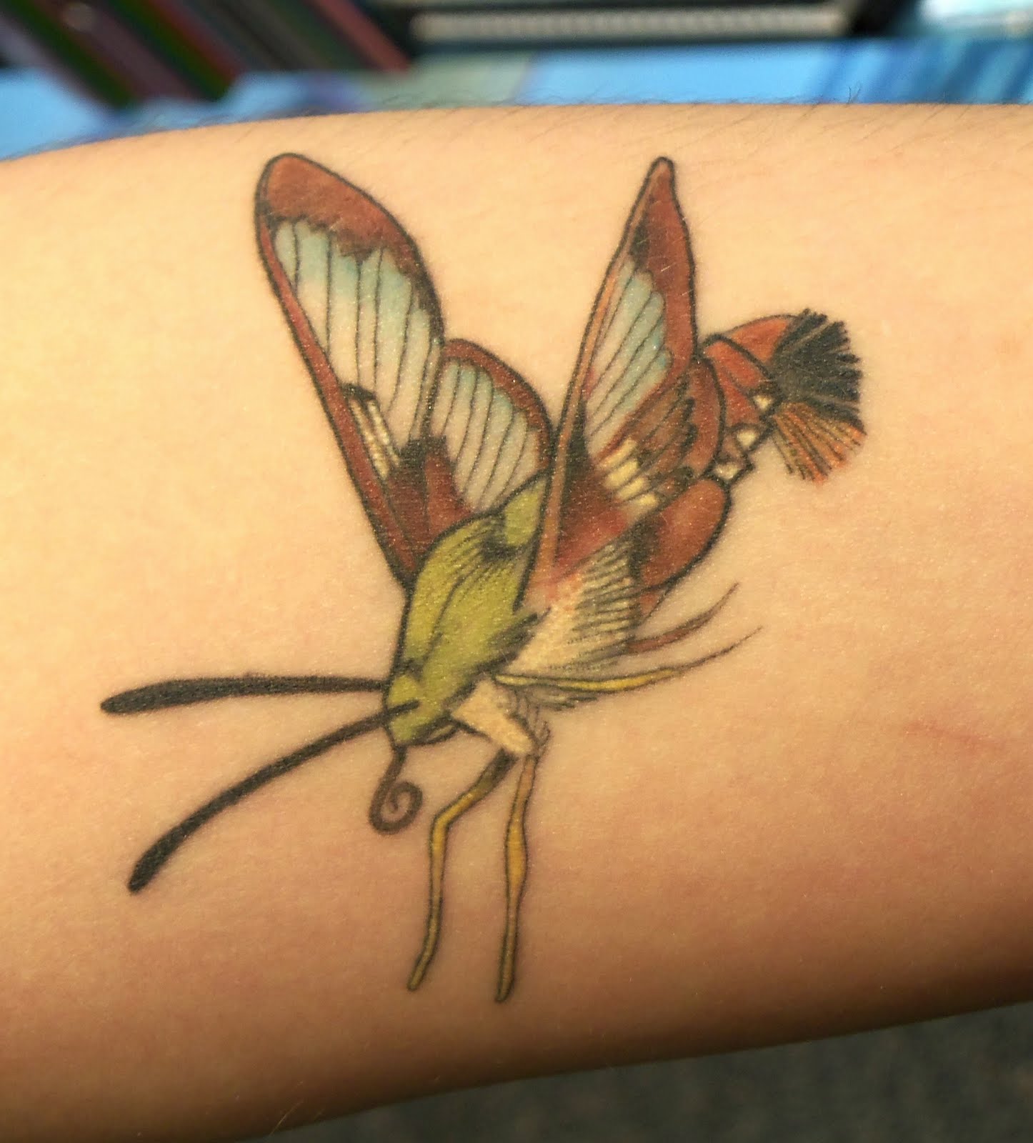see as many moth tattoos