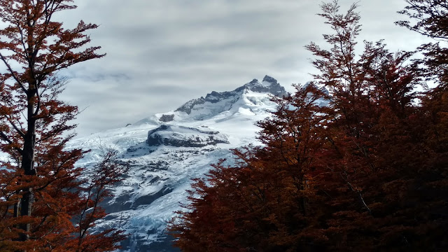 Mount Tronador through the red leaves