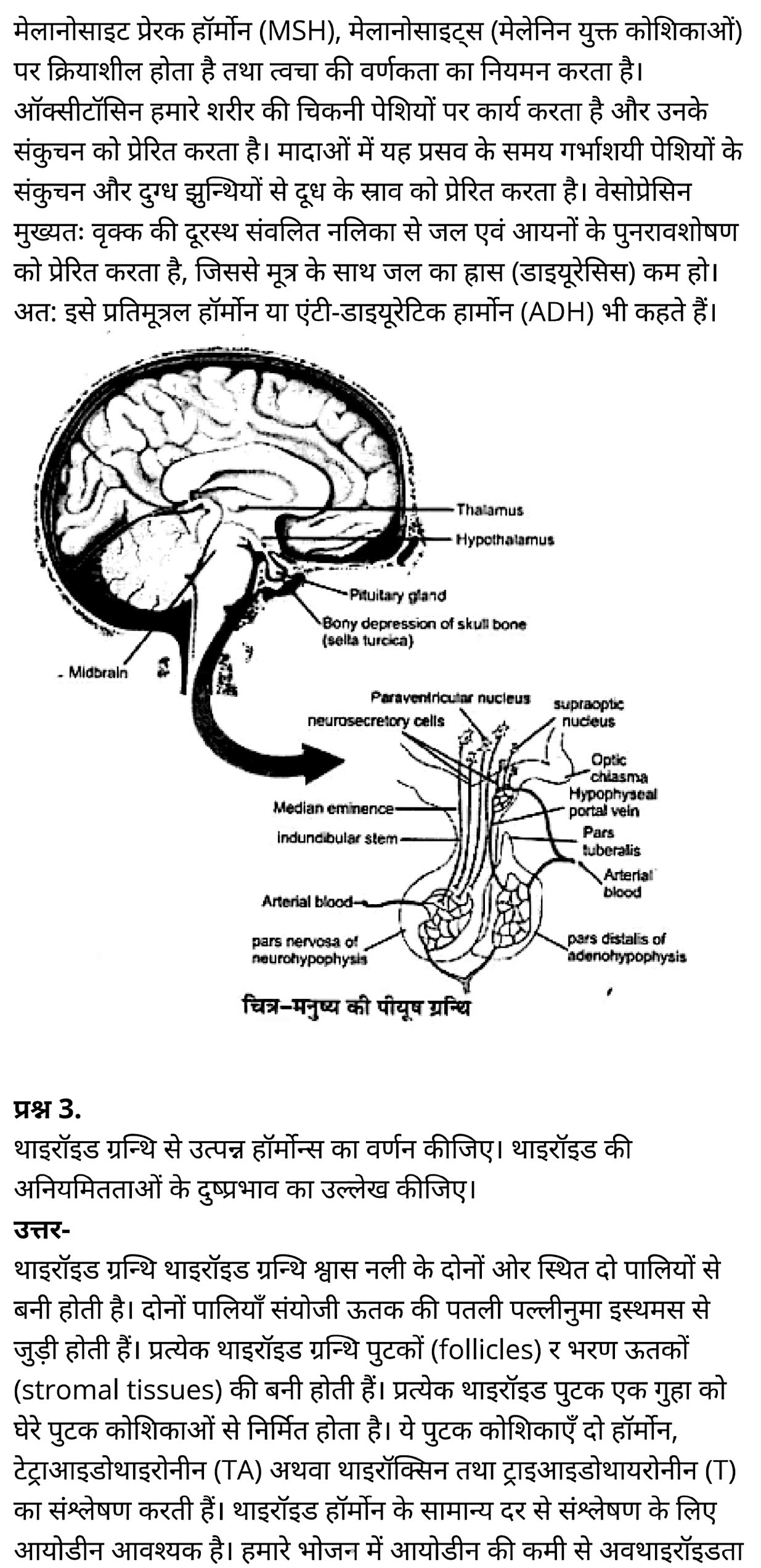 कक्षा 11 जीव विज्ञान अध्याय 22 के नोट्स हिंदी में एनसीईआरटी समाधान,   class 11 Biology Chapter 22,  class 11 Biology Chapter 22 ncert solutions in hindi,  class 11 Biology Chapter 22 notes in hindi,  class 11 Biology Chapter 22 question answer,  class 11 Biology Chapter 22 notes,  11   class Biology Chapter 22 in hindi,  class 11 Biology Chapter 22 in hindi,  class 11 Biology Chapter 22 important questions in hindi,  class 11 Biology notes in hindi,  class 11 Biology Chapter 22 test,  class 11 BiologyChapter 22 pdf,  class 11 Biology Chapter 22 notes pdf,  class 11 Biology Chapter 22 exercise solutions,  class 11 Biology Chapter 22, class 11 Biology Chapter 22 notes study rankers,  class 11 Biology Chapter 22 notes,  class 11 Biology notes,   Biology  class 11  notes pdf,  Biology class 11  notes 2021 ncert,  Biology class 11 pdf,  Biology  book,  Biology quiz class 11  ,   11  th Biology    book up board,  up board 11  th Biology notes,  कक्षा 11 जीव विज्ञान अध्याय 22, कक्षा 11 जीव विज्ञान का अध्याय 22 ncert solution in hindi, कक्षा 11 जीव विज्ञान  के अध्याय 22 के नोट्स हिंदी में, कक्षा 11 का जीव विज्ञान अध्याय 22 का प्रश्न उत्तर, कक्षा 11 जीव विज्ञान अध्याय 22 के नोट्स, 11 कक्षा जीव विज्ञान अध्याय 22 हिंदी में,कक्षा 11 जीव विज्ञान  अध्याय 22 हिंदी में, कक्षा 11 जीव विज्ञान  अध्याय 22 महत्वपूर्ण प्रश्न हिंदी में,कक्षा 11 के जीव विज्ञानके नोट्स हिंदी में,जीव विज्ञान  कक्षा 11 नोट्स pdf,