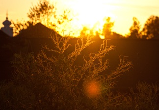 IMG_4228-1