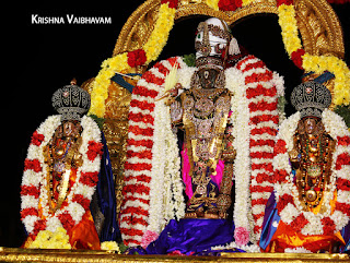 Satrumurai,Mylapore,Mylai,Sri Peyazhwar, ,purappadu,Thiruvallikeni,,Sri Parthasarathy Perumal,Manavala Maamunigal,Varavaramuni, Temple, 2017, Video, Divya Prabhandam,Utsavam,