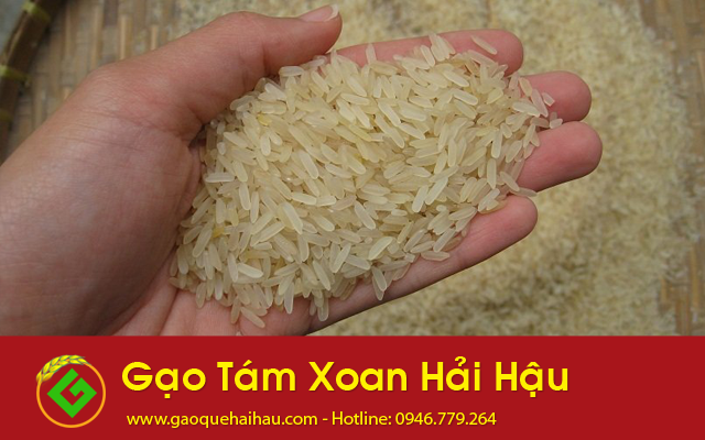 Gạo Tám Xoan Hải Hậu - Đặc sản quê hương Nam Định