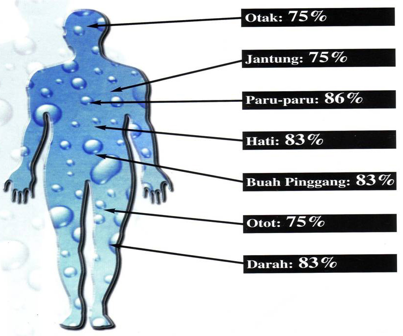 Inilah Pengaruh Air Pada 7 Bagian Tubuh Kita [ www.BlogApaAja.com ]