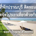 เช็คอินใหม่ 10 ที่พักปราณบุรีล่าสุด ติดชายหาด จัดโปรเราเที่ยวด้วยกันเฟส 5 ปี 2566 จองกับโรงแรมโดยตรง มีที่ใหนบ้าง 