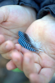 Blau gestreifte Federn liegen in zwei Kinderhänden.