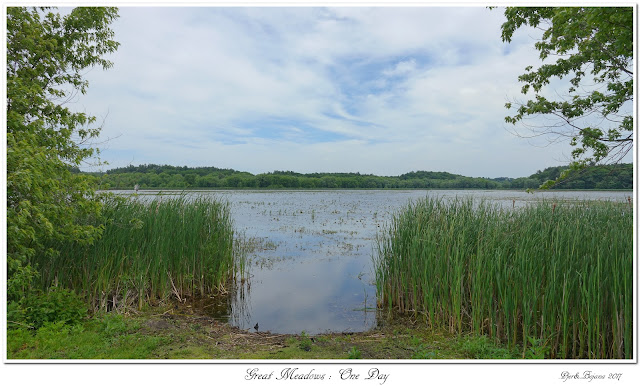 Great Meadows: One Day