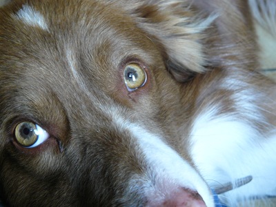 Hiro that look