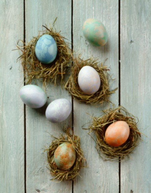 Pictures Of Birds Nest With Eggs