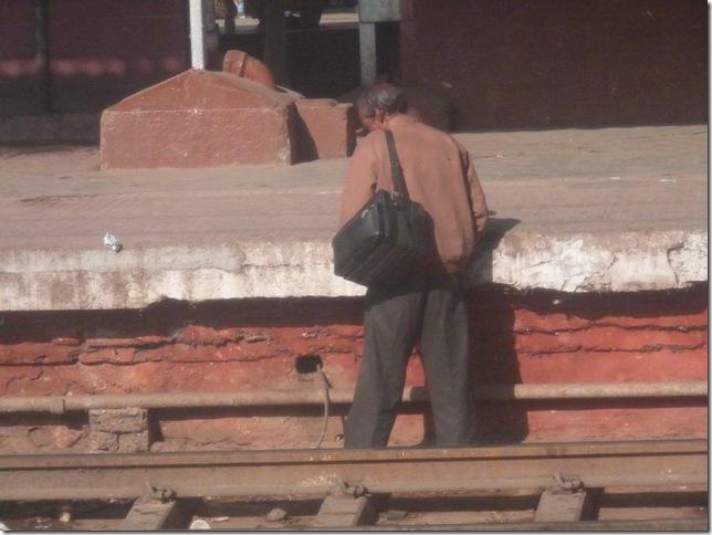 2008.12_india_1381