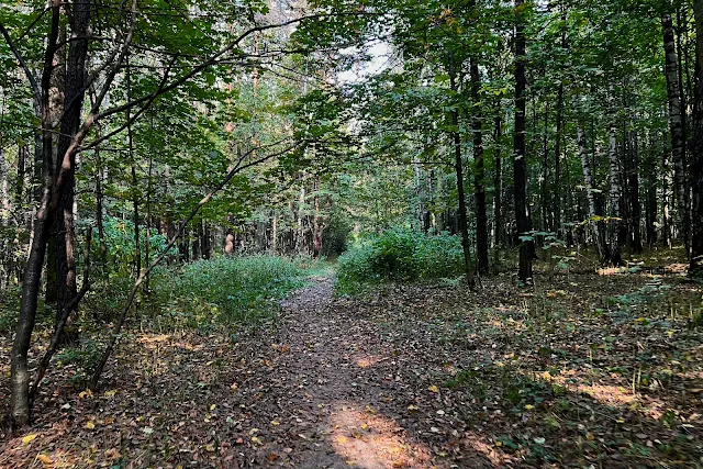 Ленинский проспект, Тропарёвский лесопарк